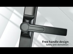 সংকীর্ণ পাশ ভাঙা সেতু বুদ্ধিমান লক, জিংক খাদ উপাদান, স্ক্রিন উইন্ডো, সংক্ষিপ্ত হ্যান্ডেল 3.0, থ