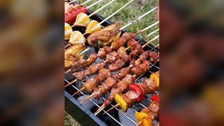 নতুন বারবিকিউ স্টোভ, হোম বারবিকিউ র্যাক, আউটডোর পোর্টেবল ফোল্ডিং বারবিকিউ স্টোভ, ছোট বারবিকিউ টুল